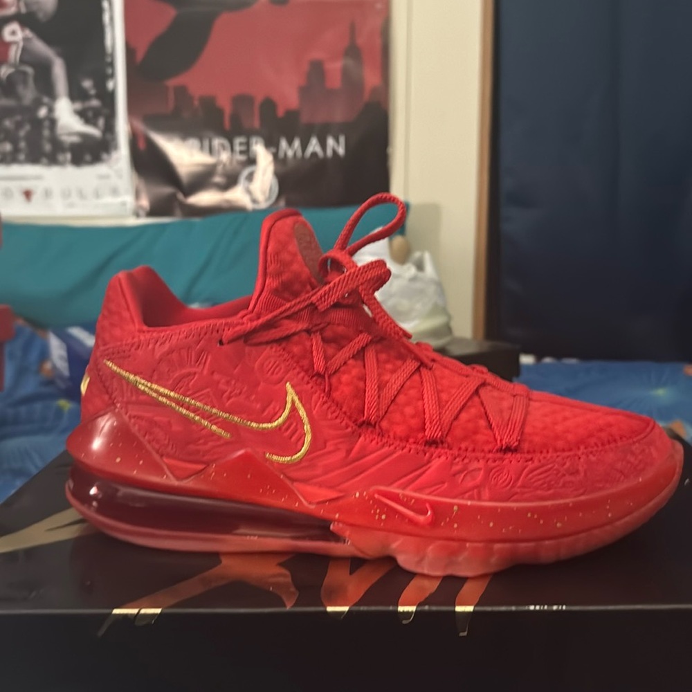 Lebron 17s low